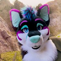 North (@norththefox) 's Twitter Profile Photo North (@norththefox) 's Twitter Profile Photo