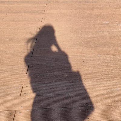 25↑ 社会人 webデザイナー目指して勉強中 #ファインドミー 2025/4〜ゆくゆくは在宅フリーランスになりたい