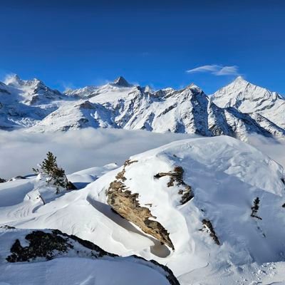 luzhich's profile picture. switzerland 🇨🇭