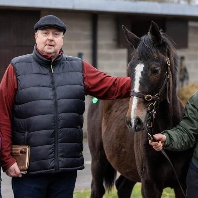 Hard working insurance broker, Racehorse Owner and Breeder @ Haras Dormul