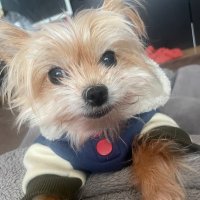 リナ (@aioyiio) 's Twitter Profile Photo リナ (@aioyiio) 's Twitter Profile Photo