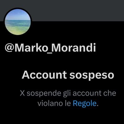 MarcoMo63819769's profile image
