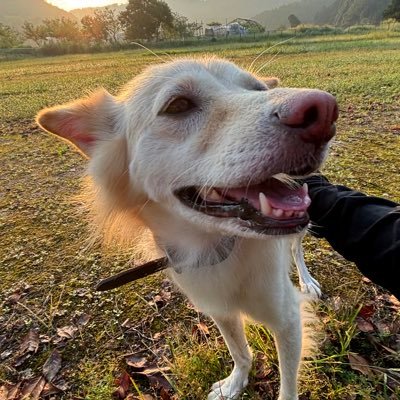 あかりーぬ
