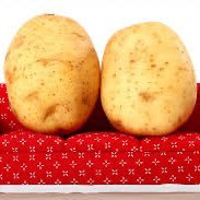The lone Potatp (@lonleypotatop) 's Twitter Profile