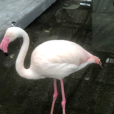 mayu669977's profile picture. 