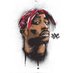 muchambuz (@leonardpiusjr33) Twitter profile photo muchambuz (@leonardpiusjr33) Twitter profile photo