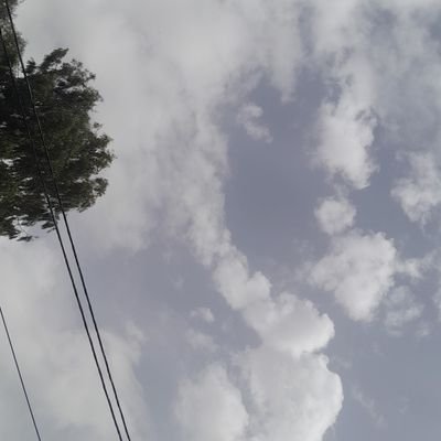 fares6579978451's profile picture. 