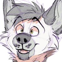 foxcollie / mack (@foxcollie) 's Twitter Profile