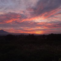 Tata'' (@chintyanikhita) 's Twitter Profile Photo