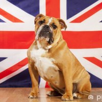 Tim symons #British independence (@timsnemesis) 's Twitter Profile