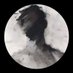 Whiteboi-TN๐น๐ณ (@biiiboy990) Twitter profile photo Whiteboi-TN๐น๐ณ (@biiiboy990) Twitter profile photo