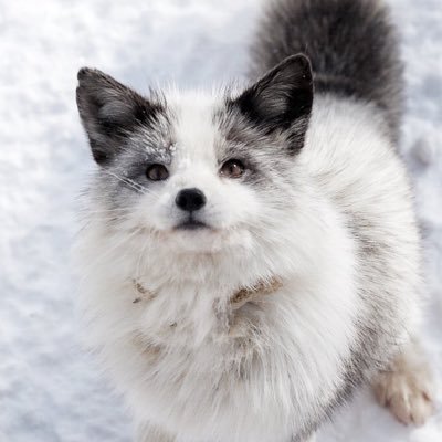 FNT7floors's profile picture. 