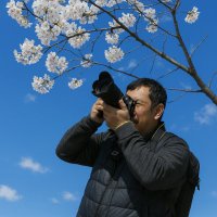 ãŸããã¡ð·åçå¶æ¥œéš (@marumochi511) 's Twitter Profile