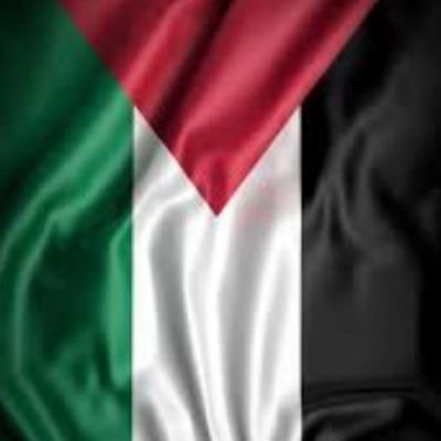 SSiddiqui70394's profile picture. 