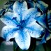أوْبَاس🌺 (@darksipss) Twitter profile photo أوْبَاس🌺 (@darksipss) Twitter profile photo