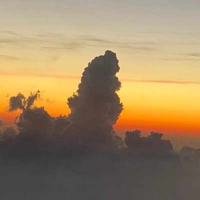 T8487234632951's profile picture. 