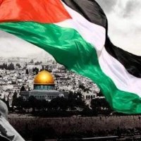 Mahmoud el Hussary (@mahmoudhussary) 's Twitter Profile