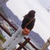 なお (@c5z5gb3hvordugn) Twitter profile photo なお (@c5z5gb3hvordugn) Twitter profile photo