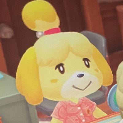 jdydxky__33's profile picture. 