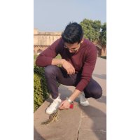 Shrey Aggarwal (@shreyaggarwall) 's Twitter Profile Photo Shrey Aggarwal (@shreyaggarwall) 's Twitter Profile Photo
