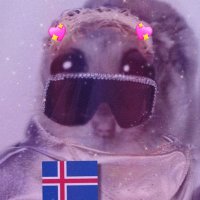 'the code' enjoyer 🐠🌊💋 (@ok_happyend) 's Twitter Profile Photo 'the code' enjoyer 🐠🌊💋 (@ok_happyend) 's Twitter Profile Photo