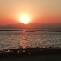 EsRaa Ali🕊️ (@esraaali5677) Twitter profile photo