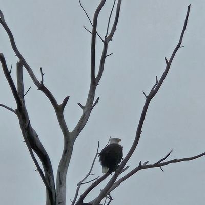 SneakinMaGroin's profile picture. No DMs unless I know you.