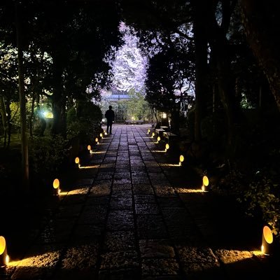 hallyhal35's profile picture. 