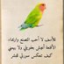 زوجه البدوي (@abshrrwq69467) Twitter profile photo زوجه البدوي (@abshrrwq69467) Twitter profile photo