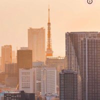エーミール・デュルケーム (@qwerty1546163) 's Twitter Profile Photo エーミール・デュルケーム (@qwerty1546163) 's Twitter Profile Photo