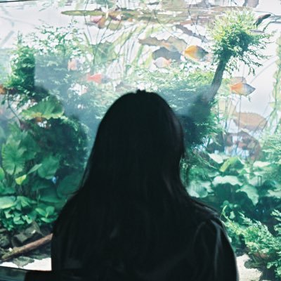 suisuifutabaryu's profile picture. m2/地質学/文化地質学/ジオパーク/リスが好き🐿/学んだ言葉など→ #夜のノート 読みたい本、見たい作品→ #夜の本棚 論文→ #夜の論文