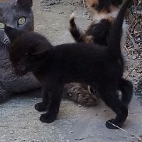 CM Vty (@vtycarbam) 's Twitter Profile Photo