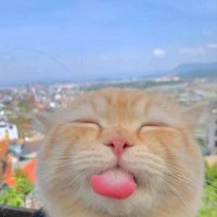 Bamme (@bamme12345) 's Twitter Profile