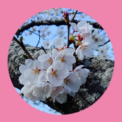 risachan5432's profile picture. お笑いとラジオが大好き❤︎ダウンタウン・ダイアン・アインシュタイン・ミキ❤︎ 📻深夜でんぱ/兄弟でんぱ/ラジオさん/TOKYO STYLE/社会の窓 /etc.   早寝部なのでTF民です😪