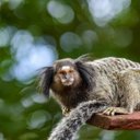 Jasper Clements - @clements_j87832 - Twitter