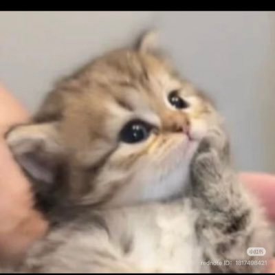 NuchGlass18368's profile picture. 