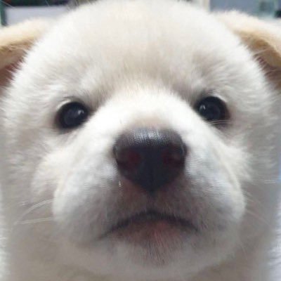 해시계정