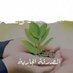 صدقة جارية (@bwmzn463362) Twitter profile photo صدقة جارية (@bwmzn463362) Twitter profile photo