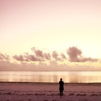 WindsweptCliffsAtSunset (@grayson_ir95086) 's Twitter Profile