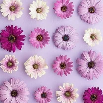 Sullihana's profile picture. 