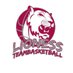 Lioness Team Basketball (@lionessbball) Twitter profile photo Lioness Team Basketball (@lionessbball) Twitter profile photo