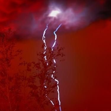 nnwnnnnnn's profile picture. 15