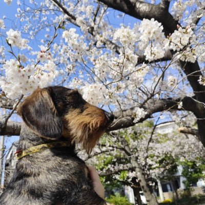 関西在住の45↑の大人ENGENE ソヌ❤️ペンです♪たくさんのENGENEと仲良くなりたいです😁できれば無言フォローではなく一言いただけたらうれしいです。 ENHYPEN以外のことも呟くけどごめんなさいね🙏こんなあたしでよければ仲良くしてください🥰