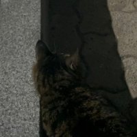 고굼 (@ouuiom) 's Twitter Profile