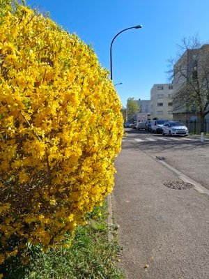 smsmelk2014's profile picture. 