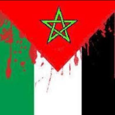 meryem_raiss's profile picture. 