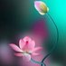 salam (@mjaeedullsh1) Twitter profile photo salam (@mjaeedullsh1) Twitter profile photo