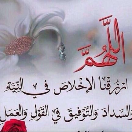 #خطابه_زواج_مسيار_سري #ومعلن #جميع_مناطق_المملكه #للجادين_تواصل #واتس_على #رابط 👇🏻
https://t.co/nW07Td2PyX