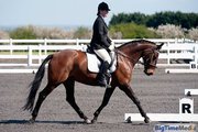 susansaward's profile picture. Dressage Trainer and rider
