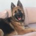 Garbo ๐, Amber๐๐and Heidi๐๐ผโโ๏ธ๐ฌ๐ง๐ฉ๐ช๐ท (@aroughwood2) Twitter profile photo Garbo ๐, Amber๐๐and Heidi๐๐ผโโ๏ธ๐ฌ๐ง๐ฉ๐ช๐ท (@aroughwood2) Twitter profile photo
